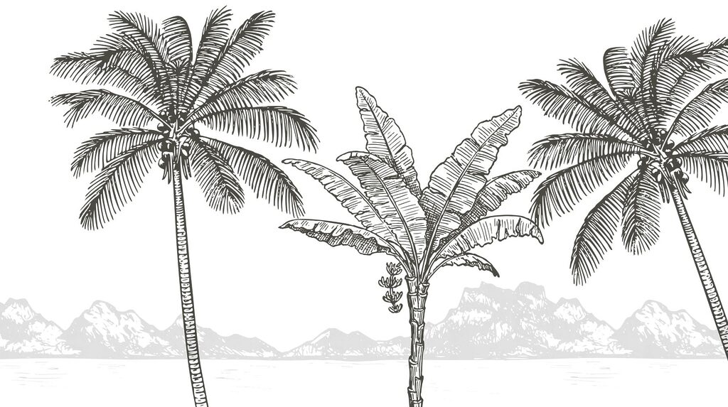 Palm trees and a beach
