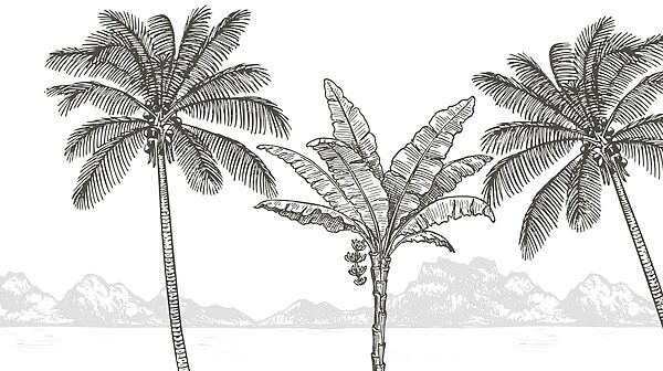 Palm trees and a beach