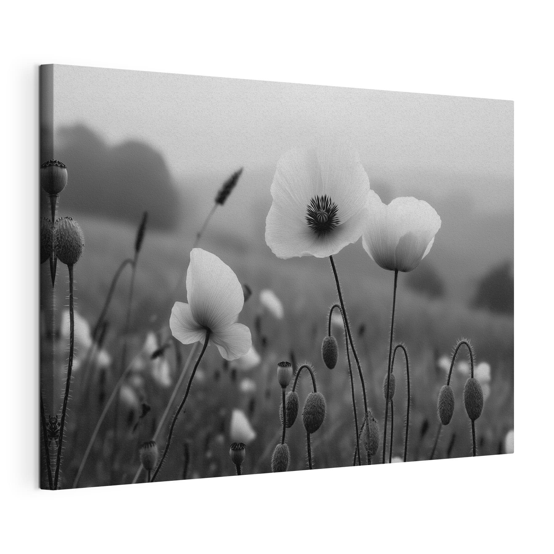 Delicate blooms in serene landscape
