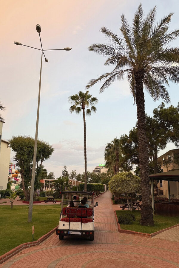 Group of people riding a golf cart