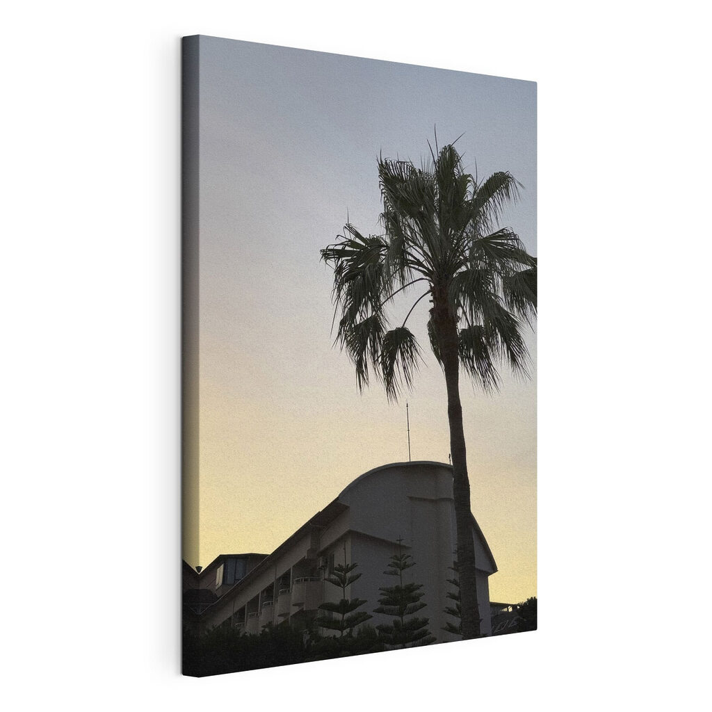 Palm tree in front of a building