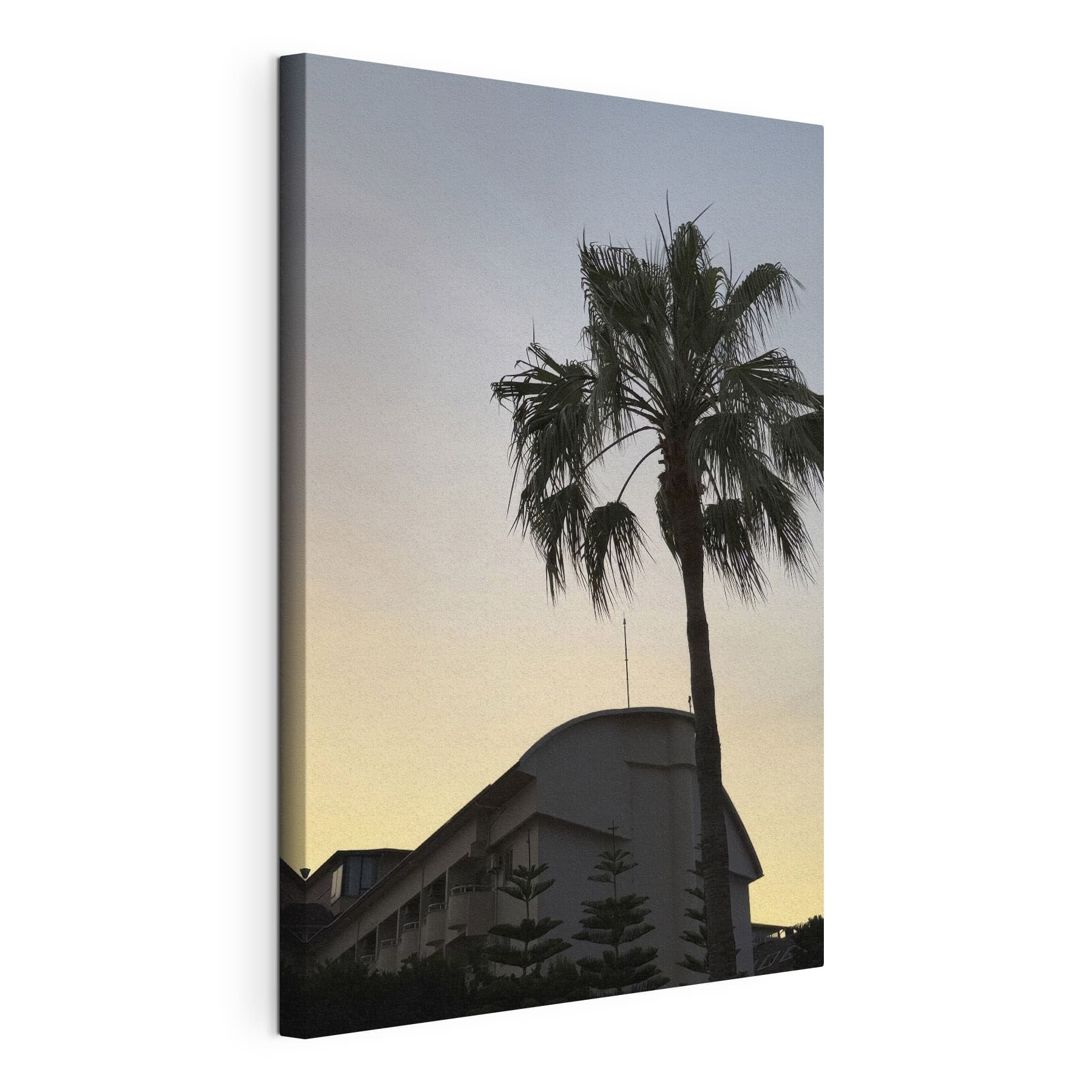 Palm tree in front of a building