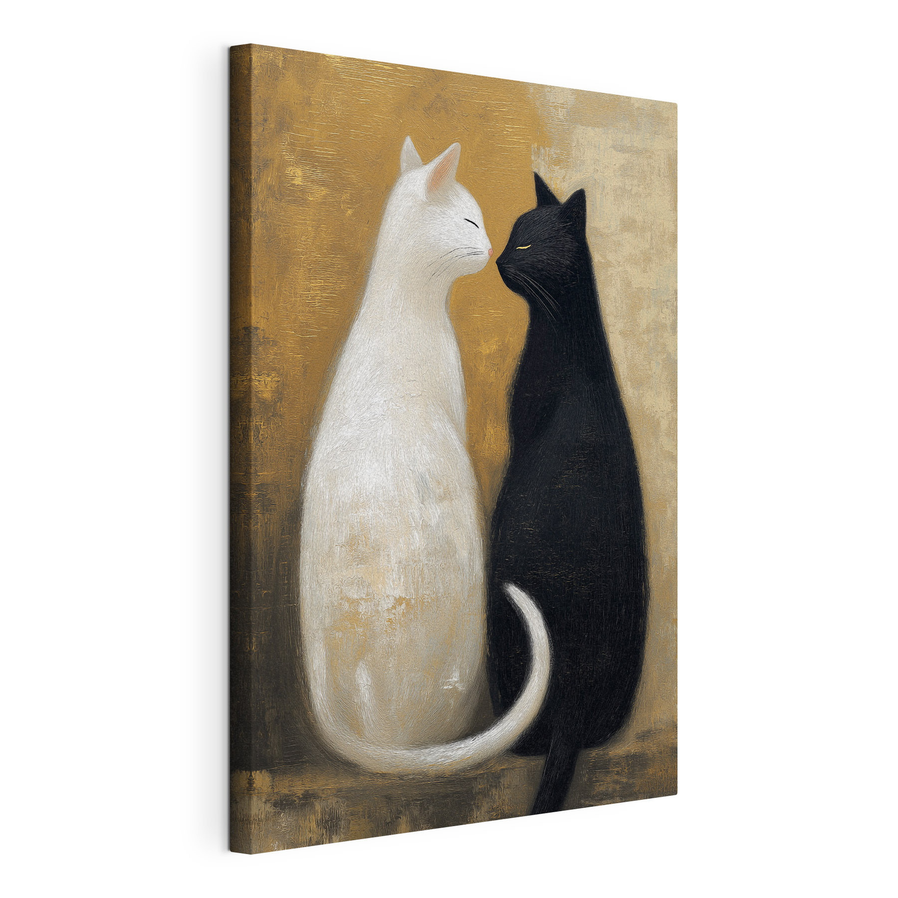 Black and white cats Black and white cats