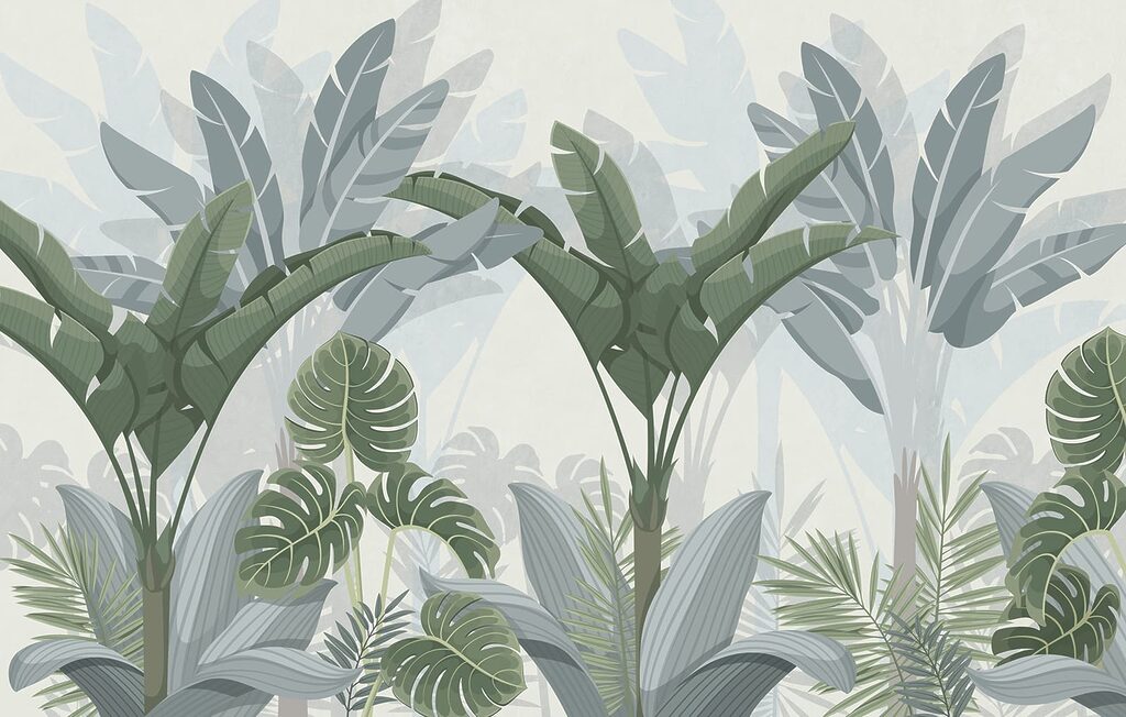 Group of plants in a forest