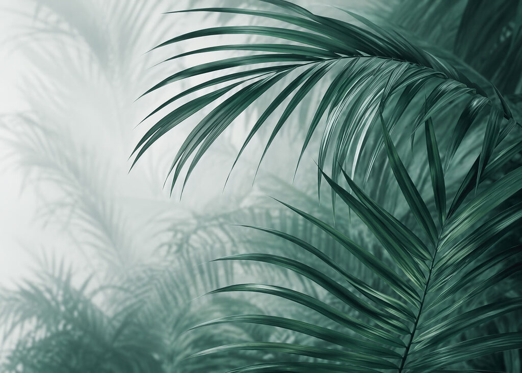 Fresh foliage in a serene setting