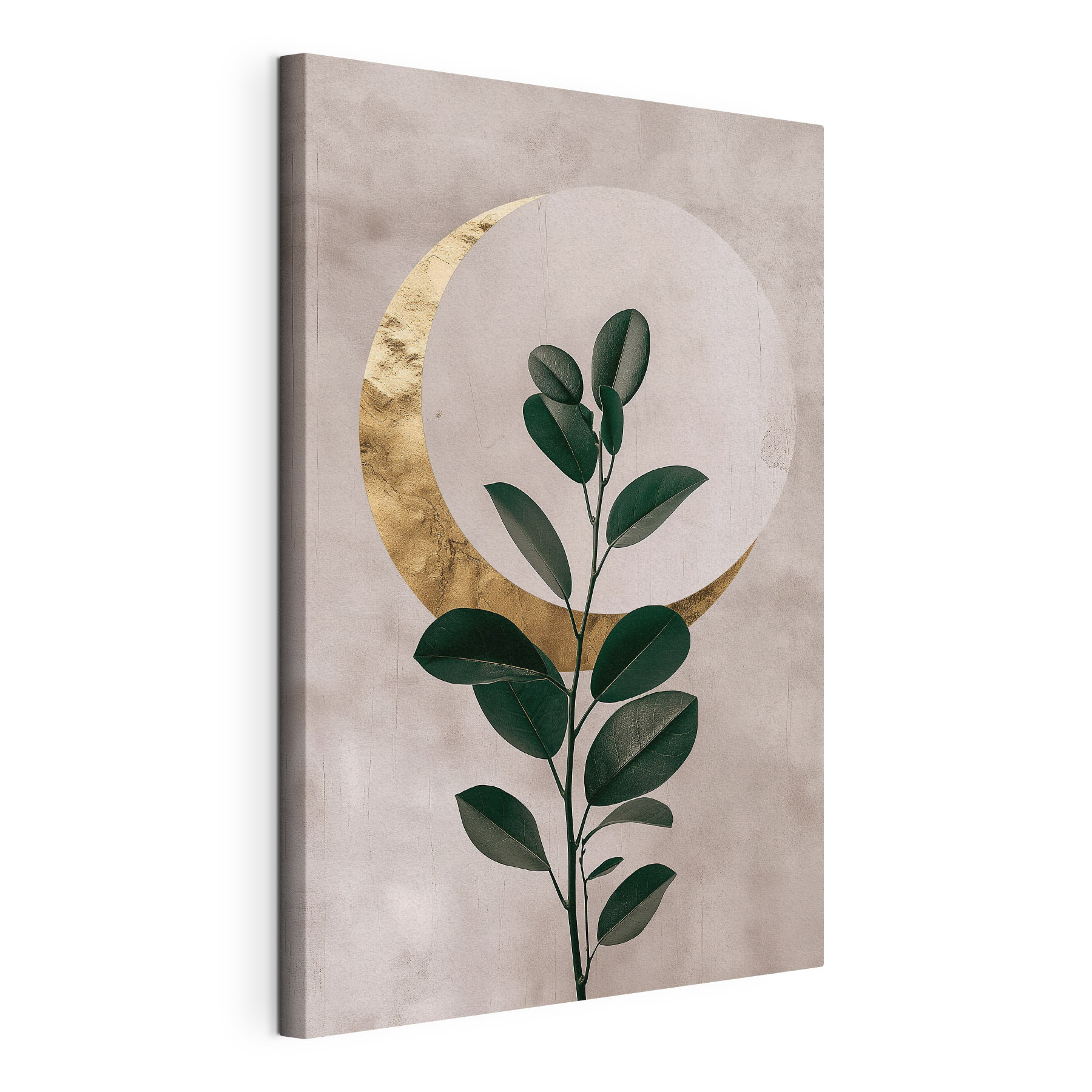 Plant with leaves and a moon