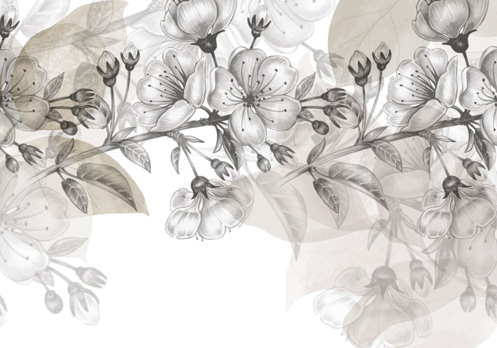 Drawing of a branch with flowers Drawing of a branch with flowers