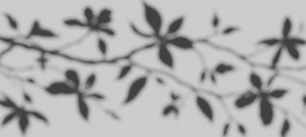 Blurry image of leaves on a branch