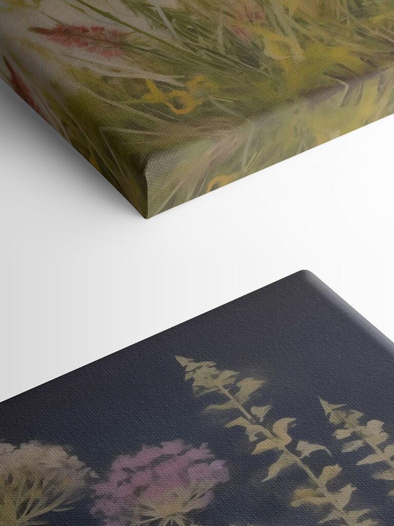 Painting of flowers and plants Painting of flowers and plants