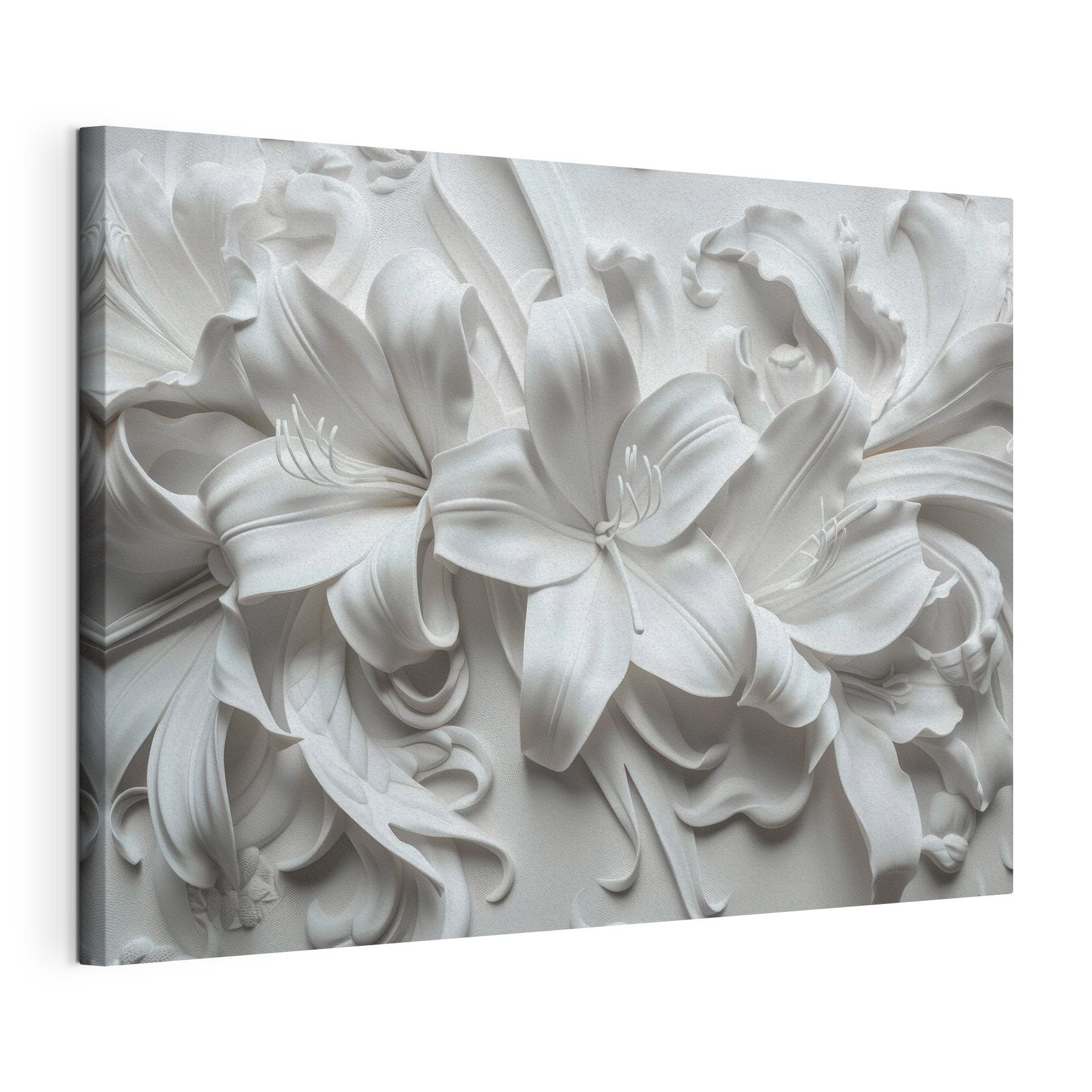 White flower on a white surface White flower on a white surface