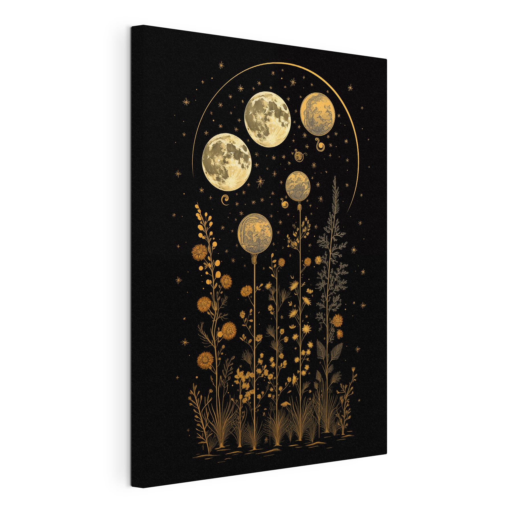 Moon phases in a black background