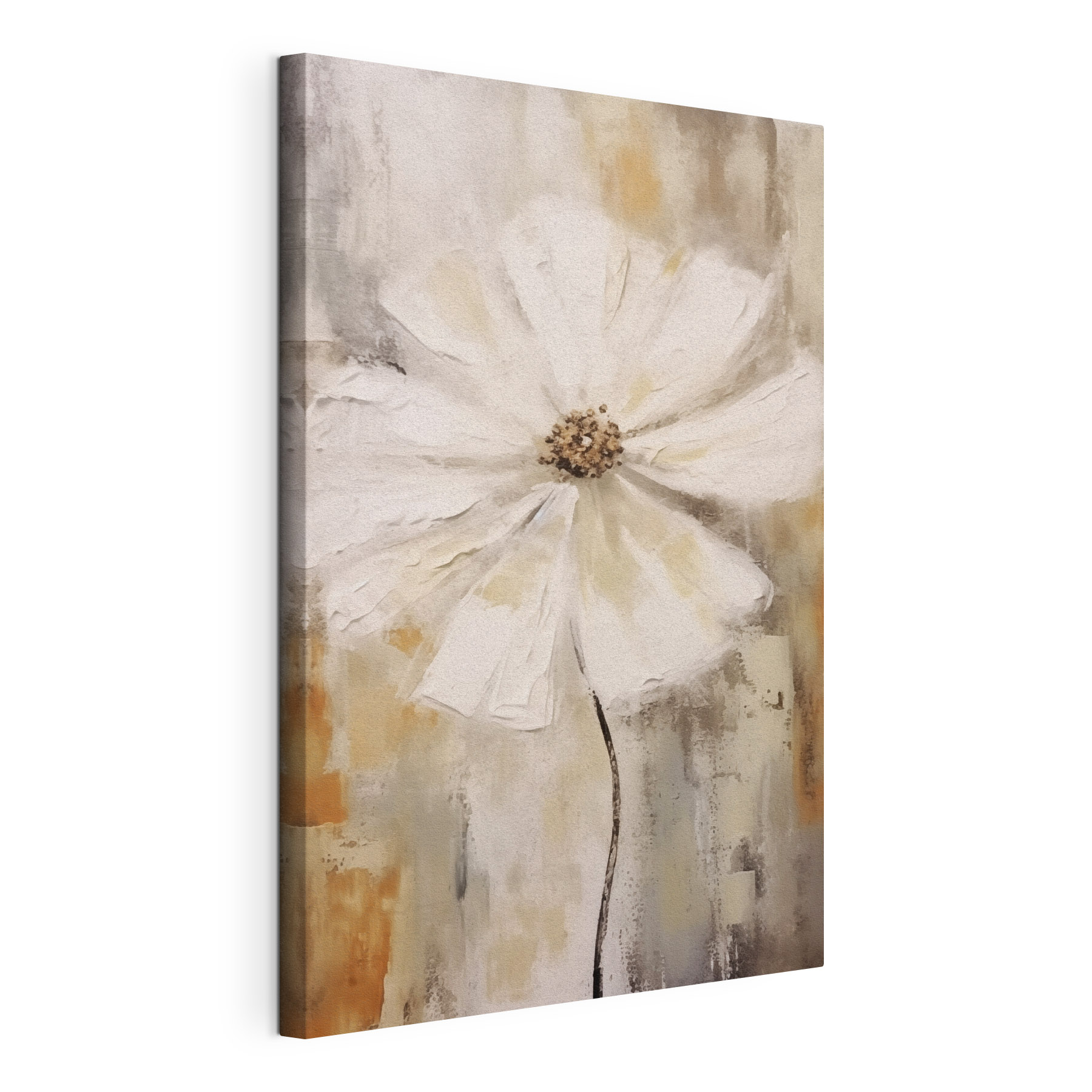 White flower with brown center