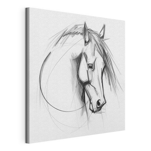 Drawing of a horse