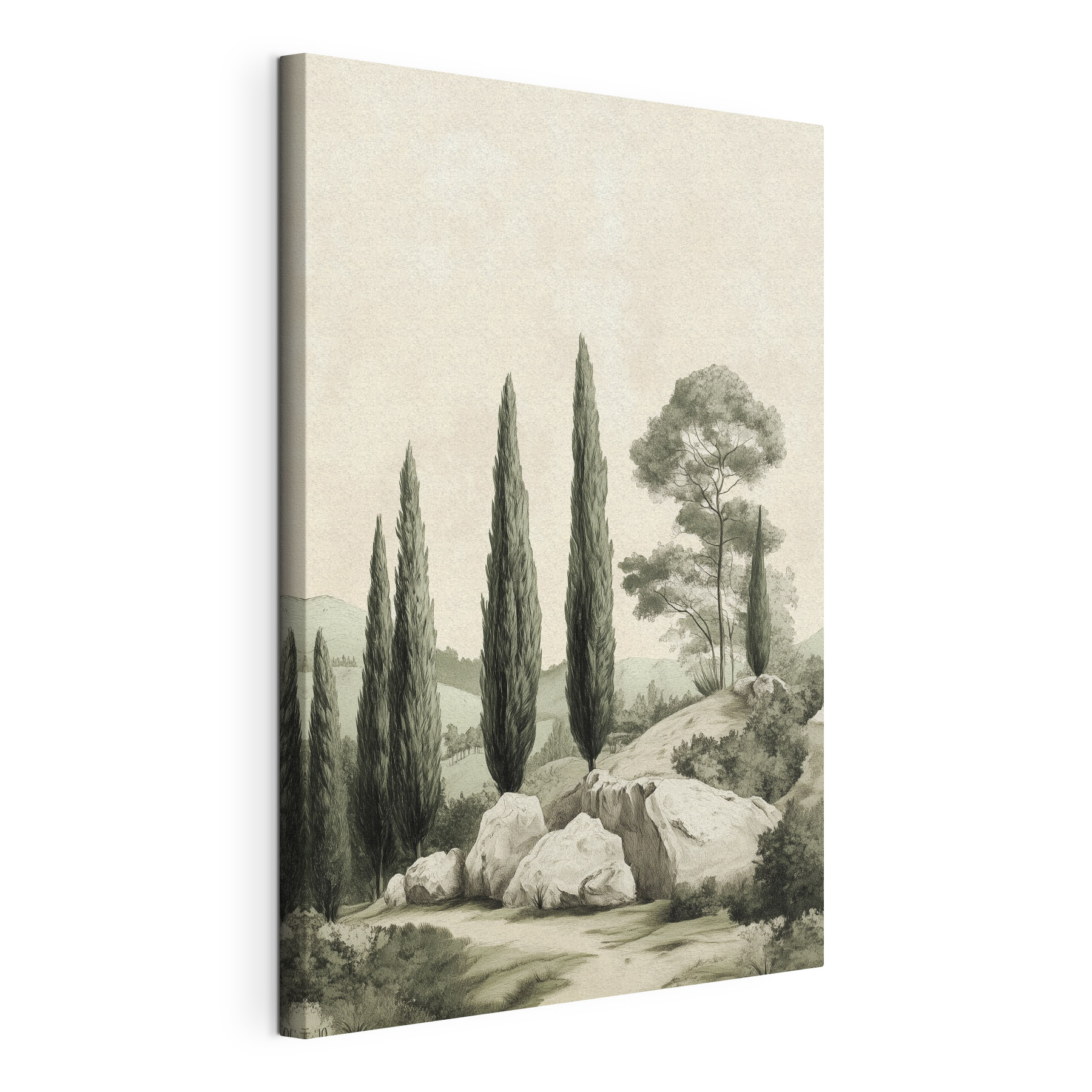 Group of trees on a hill