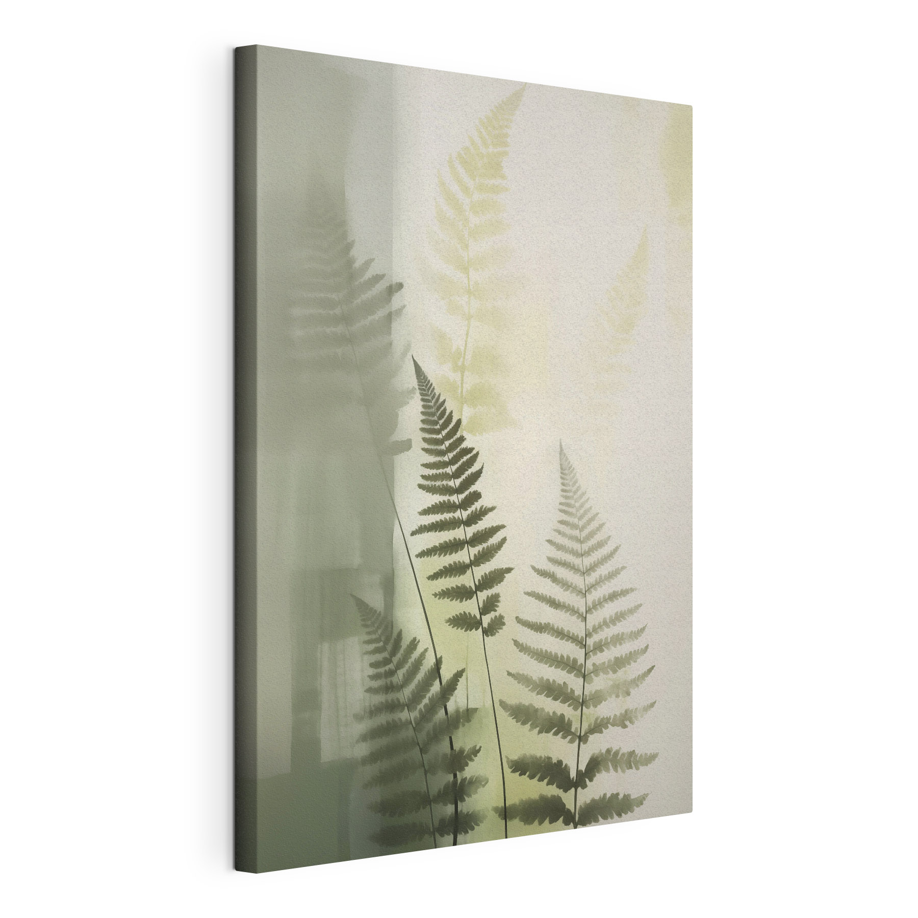 Fern leaves on a white background Fern leaves on a white background