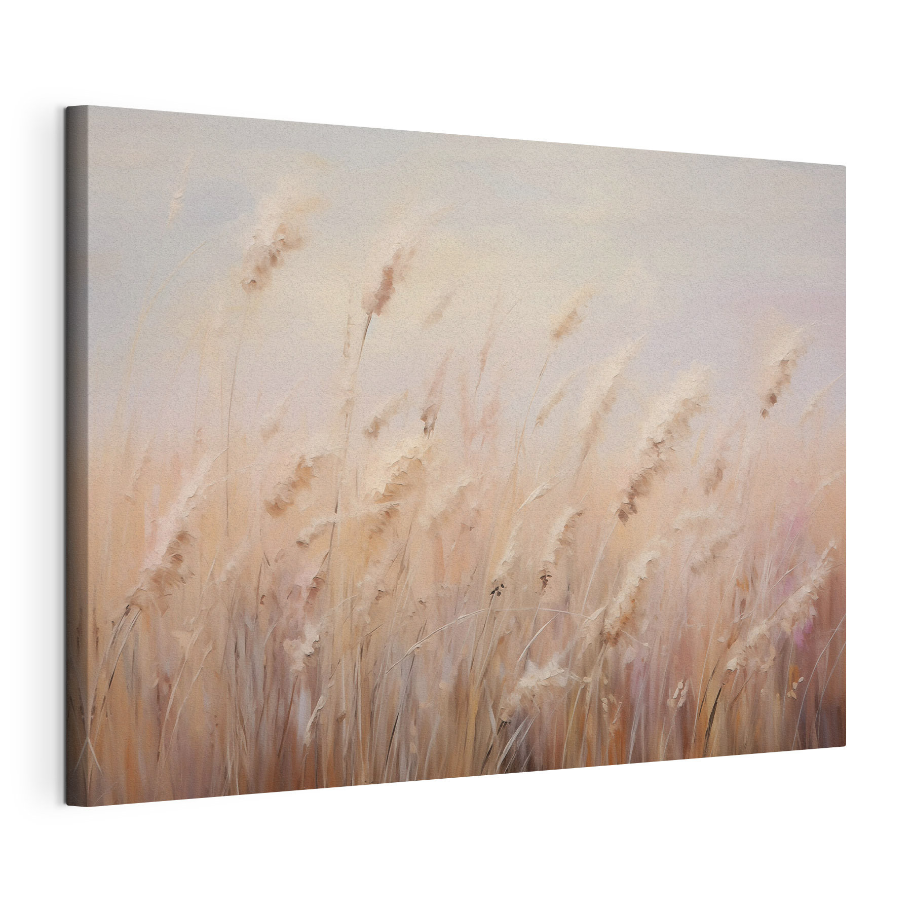 Field of tall grass Field of tall grass