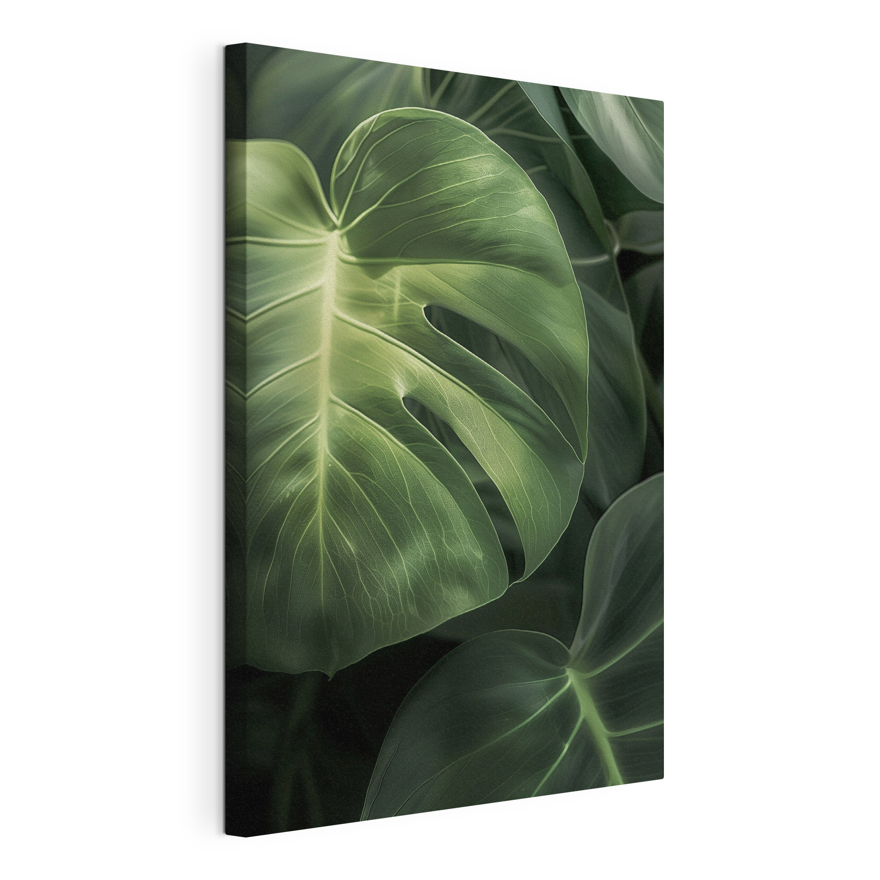 Lush green leaves in natural light