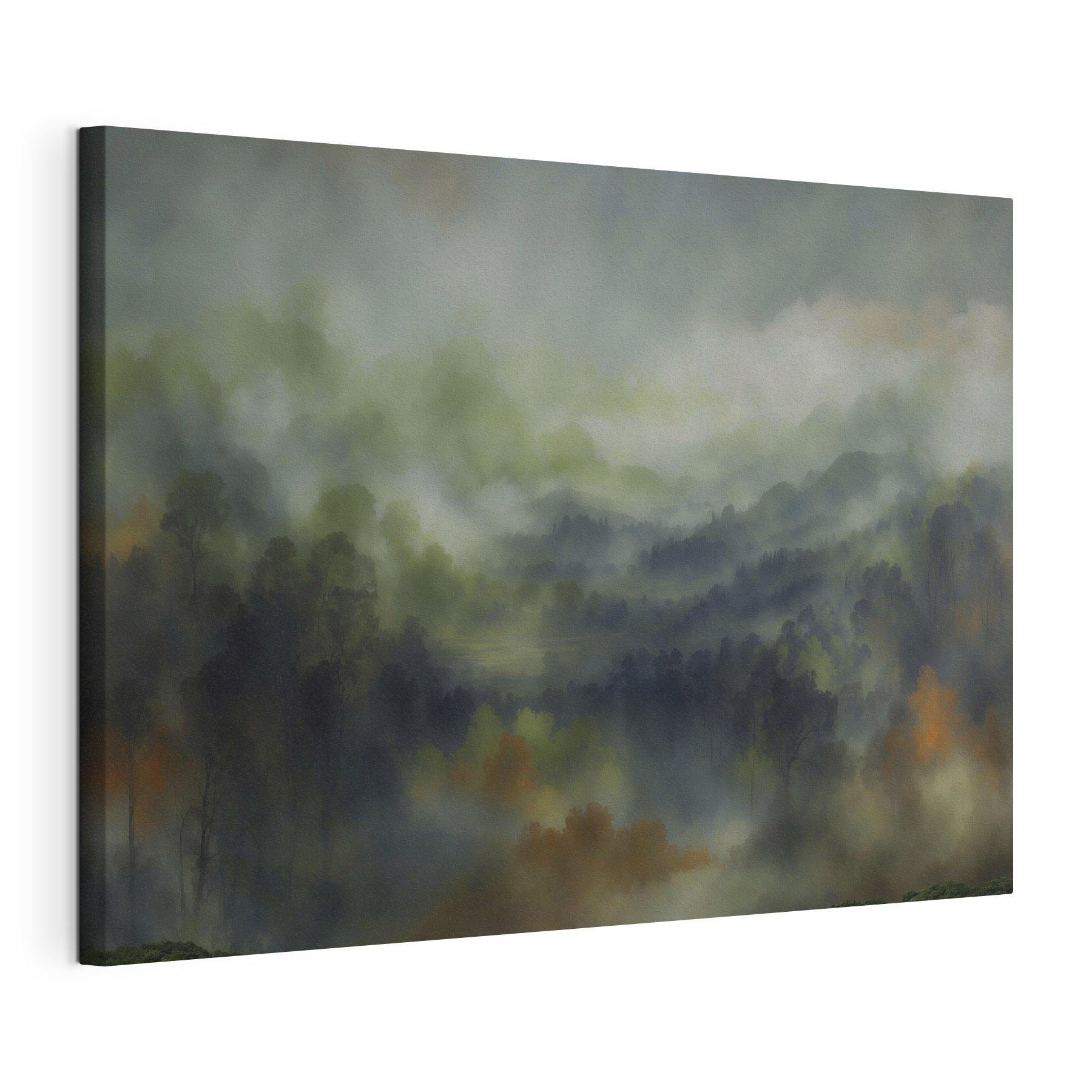 Foggy forest with trees and hills