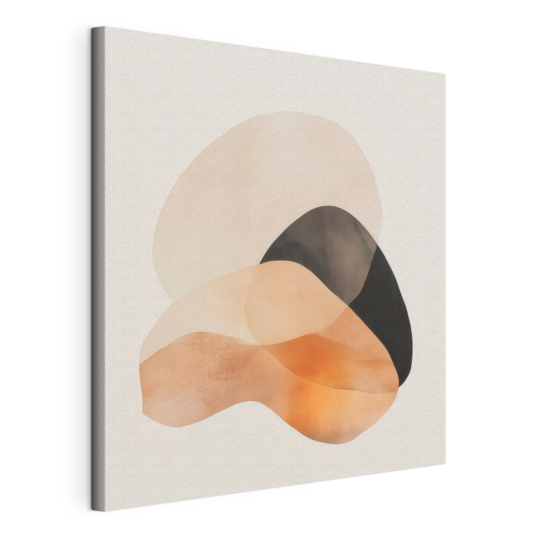 Soft curves in warm tones
