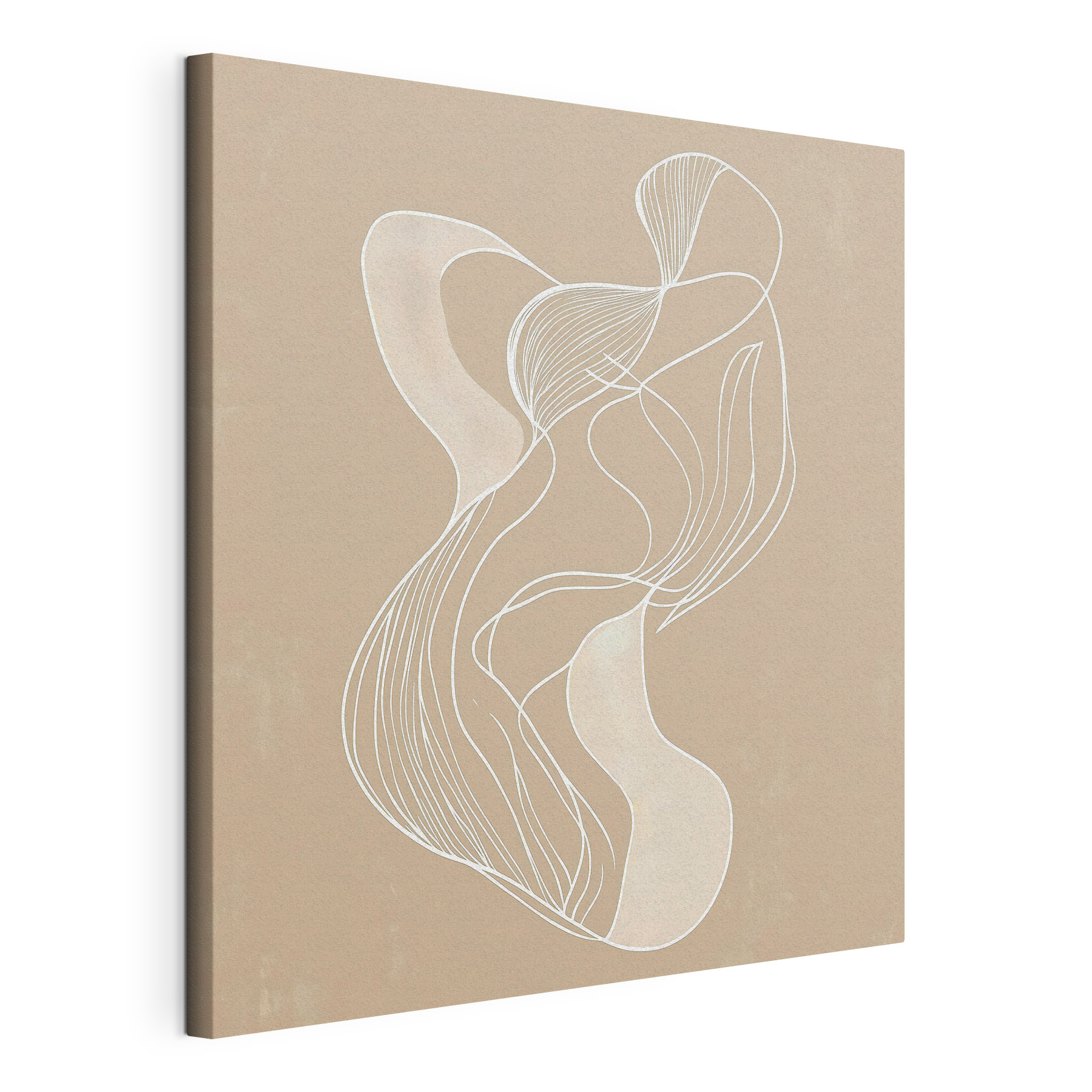 White line drawing on a tan background