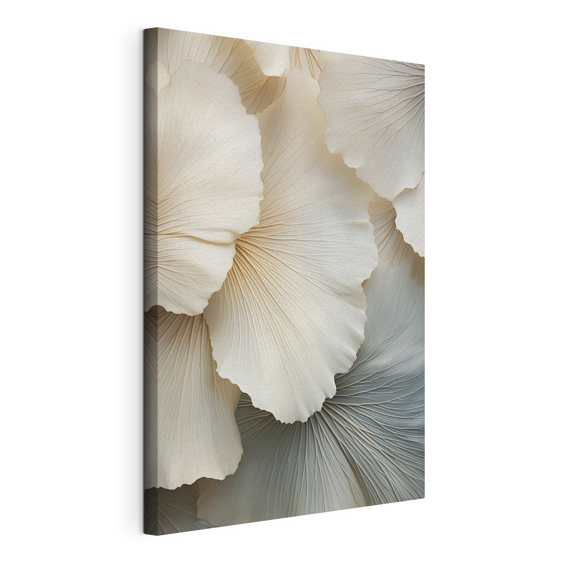 Delicate layers of soft petal forms