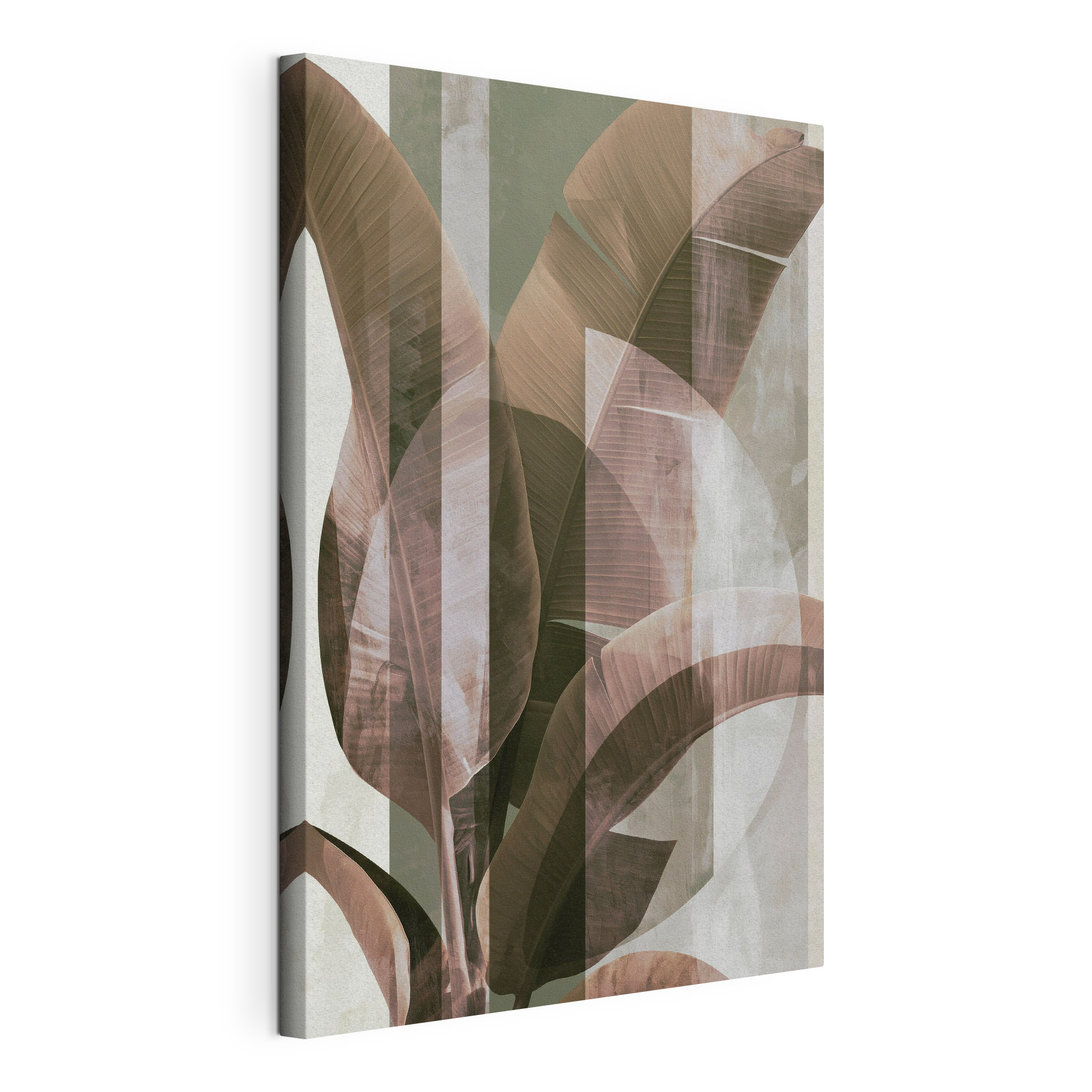 Serene leaves against a muted background