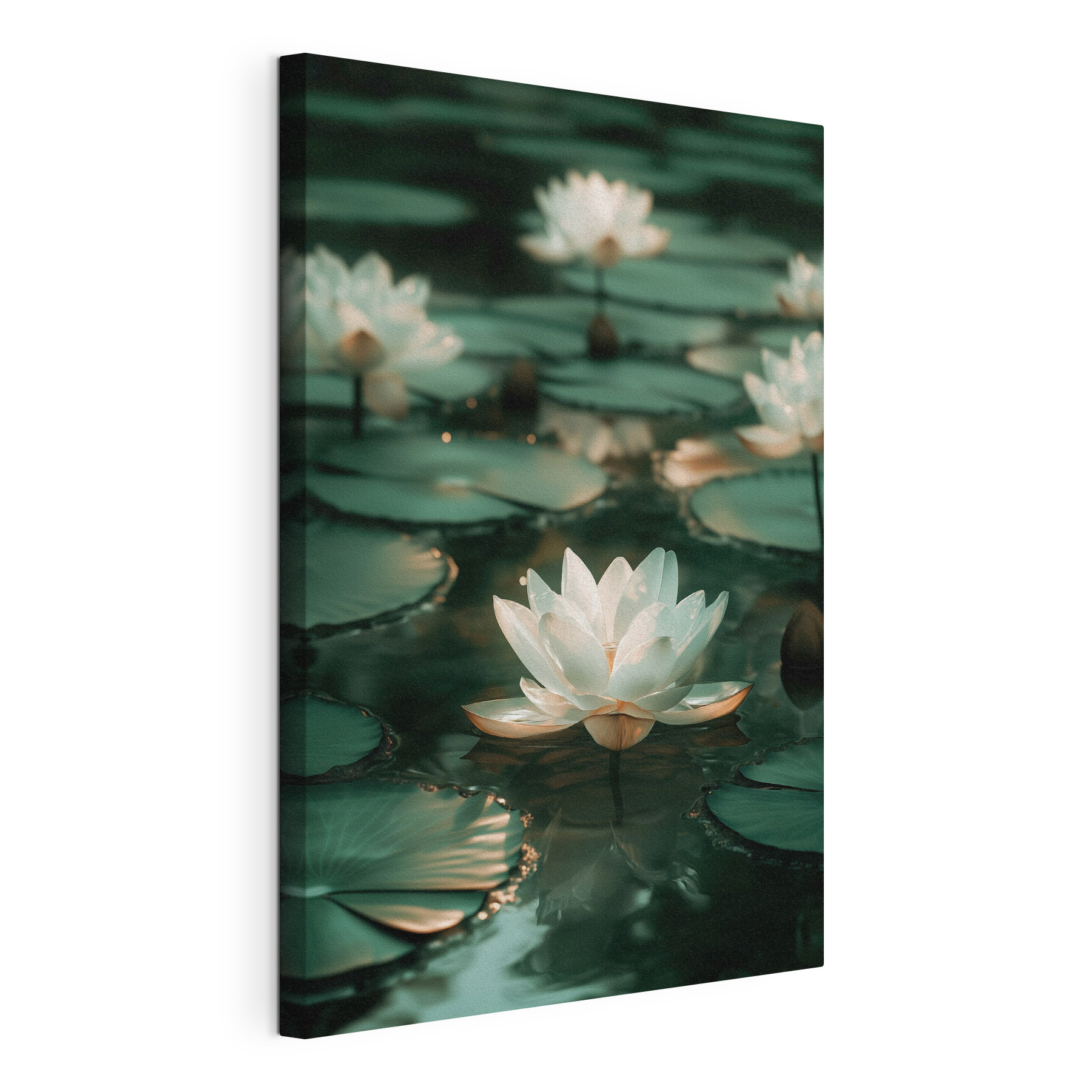 White flower on water