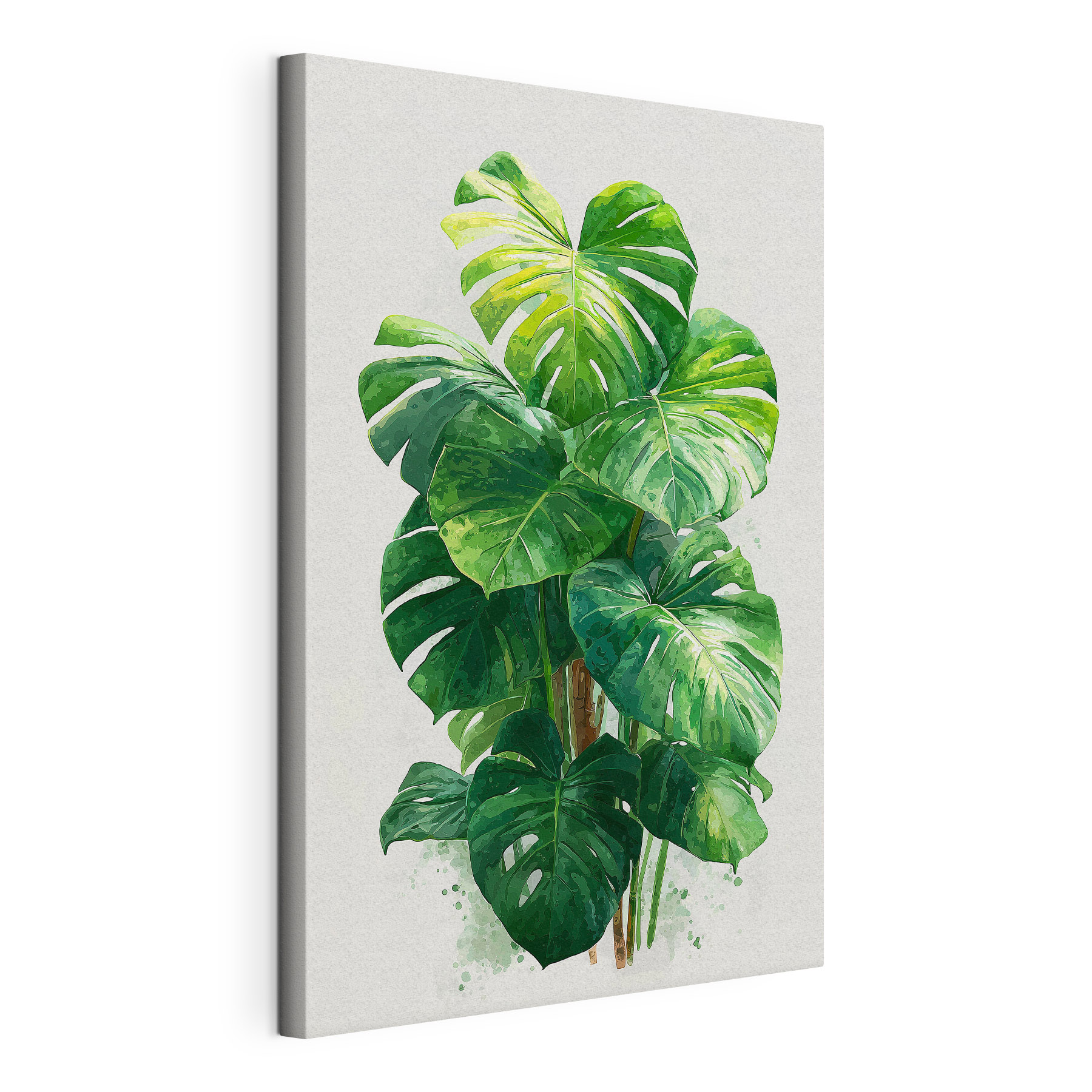 Large green plant with large leaves Large green plant with large leaves