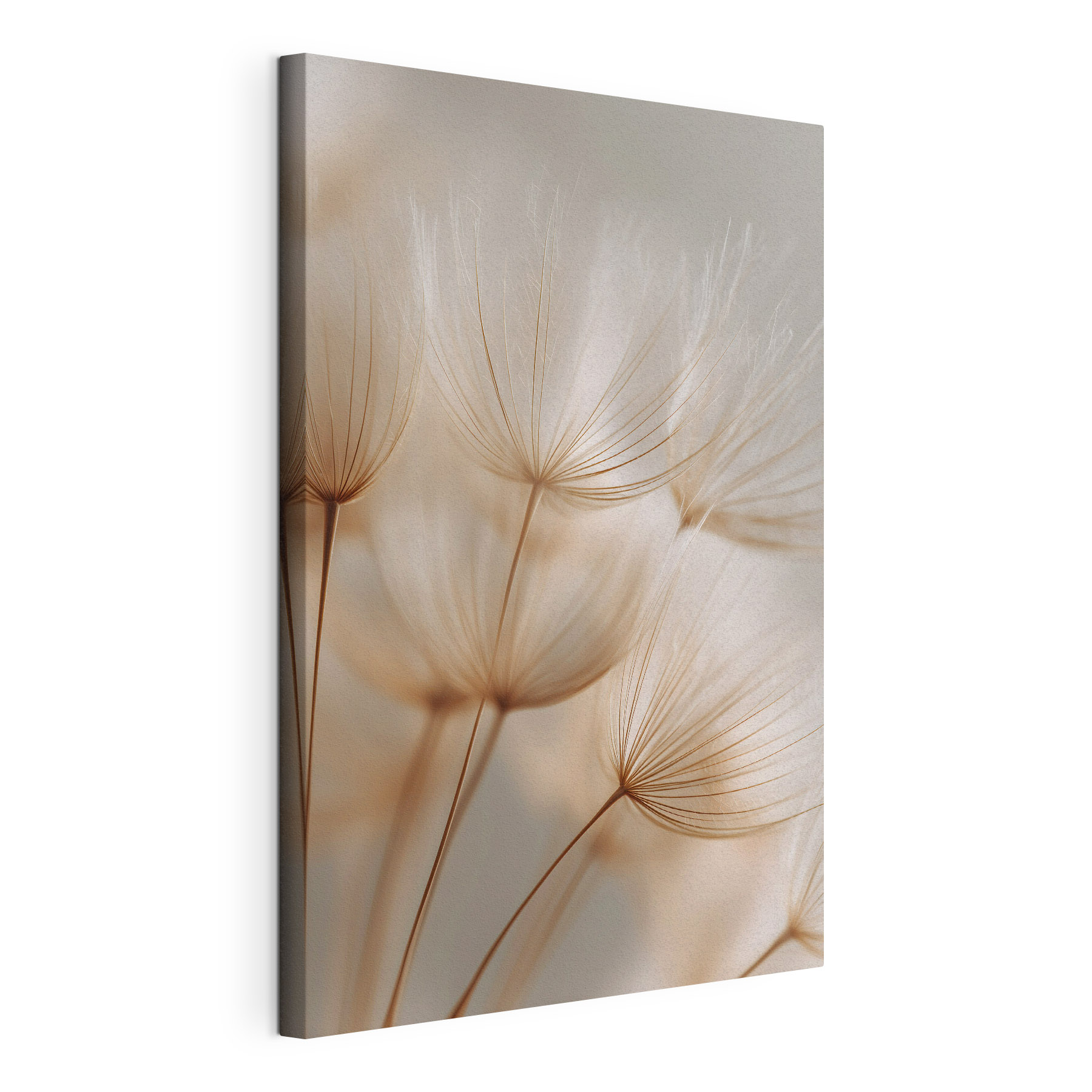 Delicate strands in soft focus