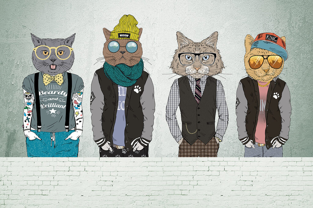 Group of cats wearing clothes Group of cats wearing clothes