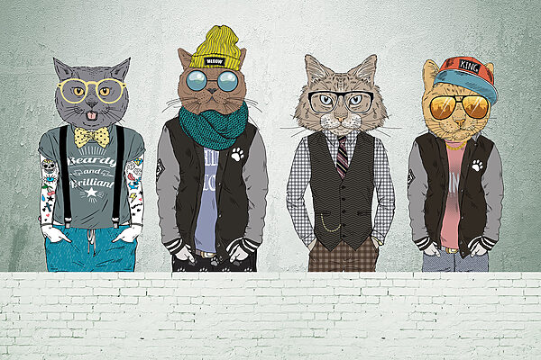 Group of cats wearing clothes Group of cats wearing clothes