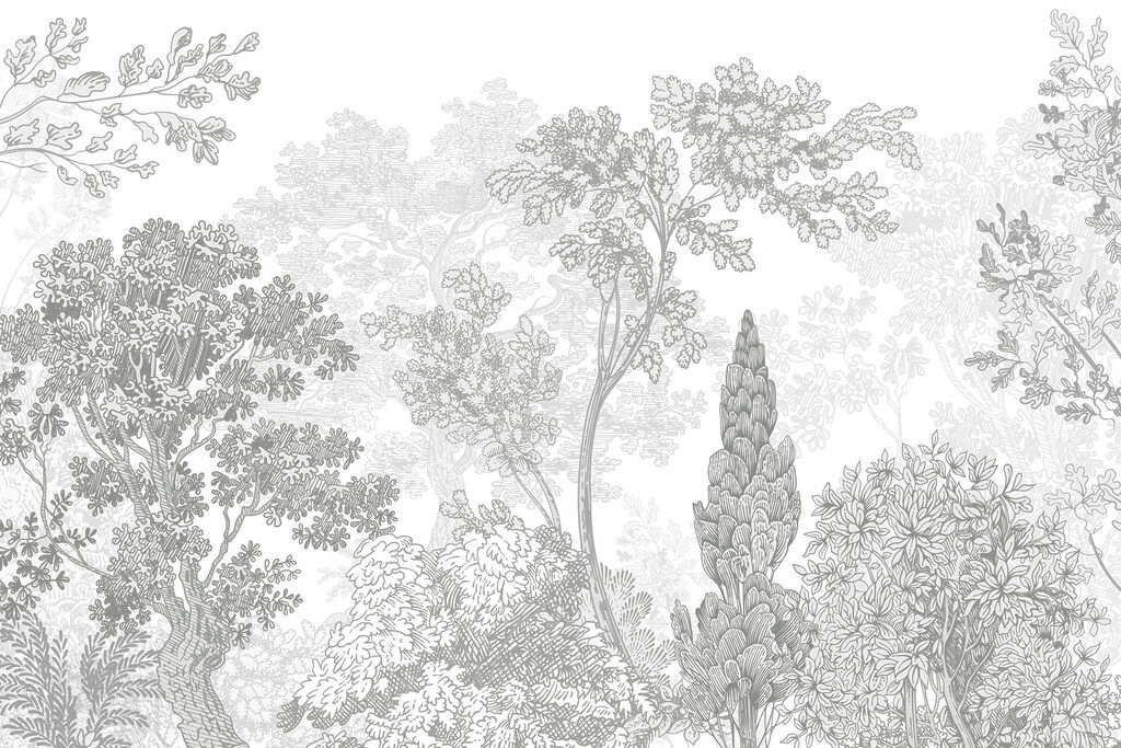 Group of trees with leaves