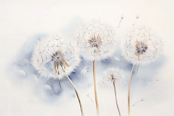 Group of dandelions with seeds flying