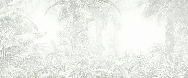 White background with plants