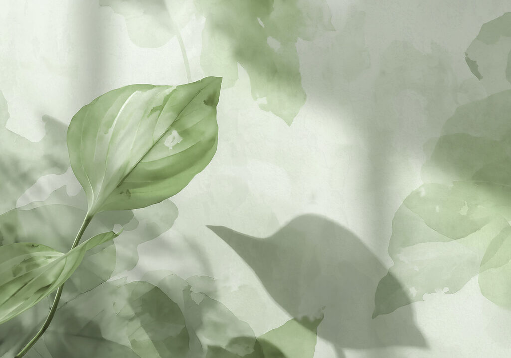 Green leaf on a white surface