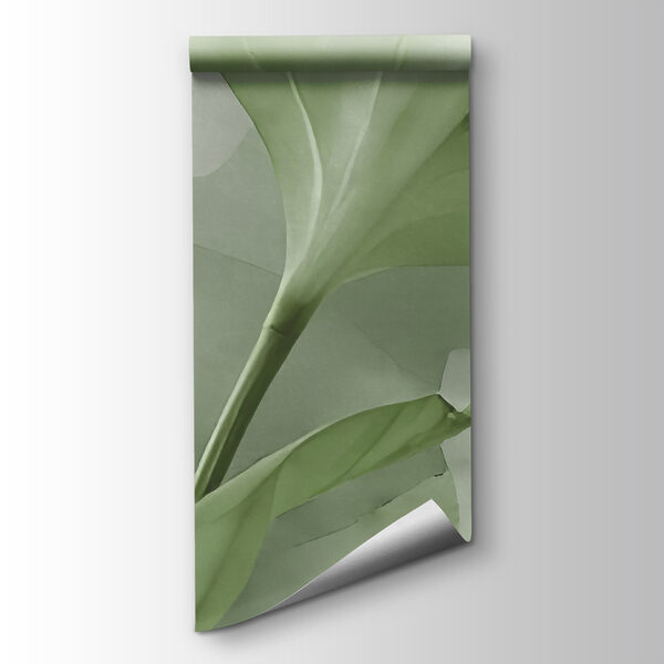 Green leaf on a white surface