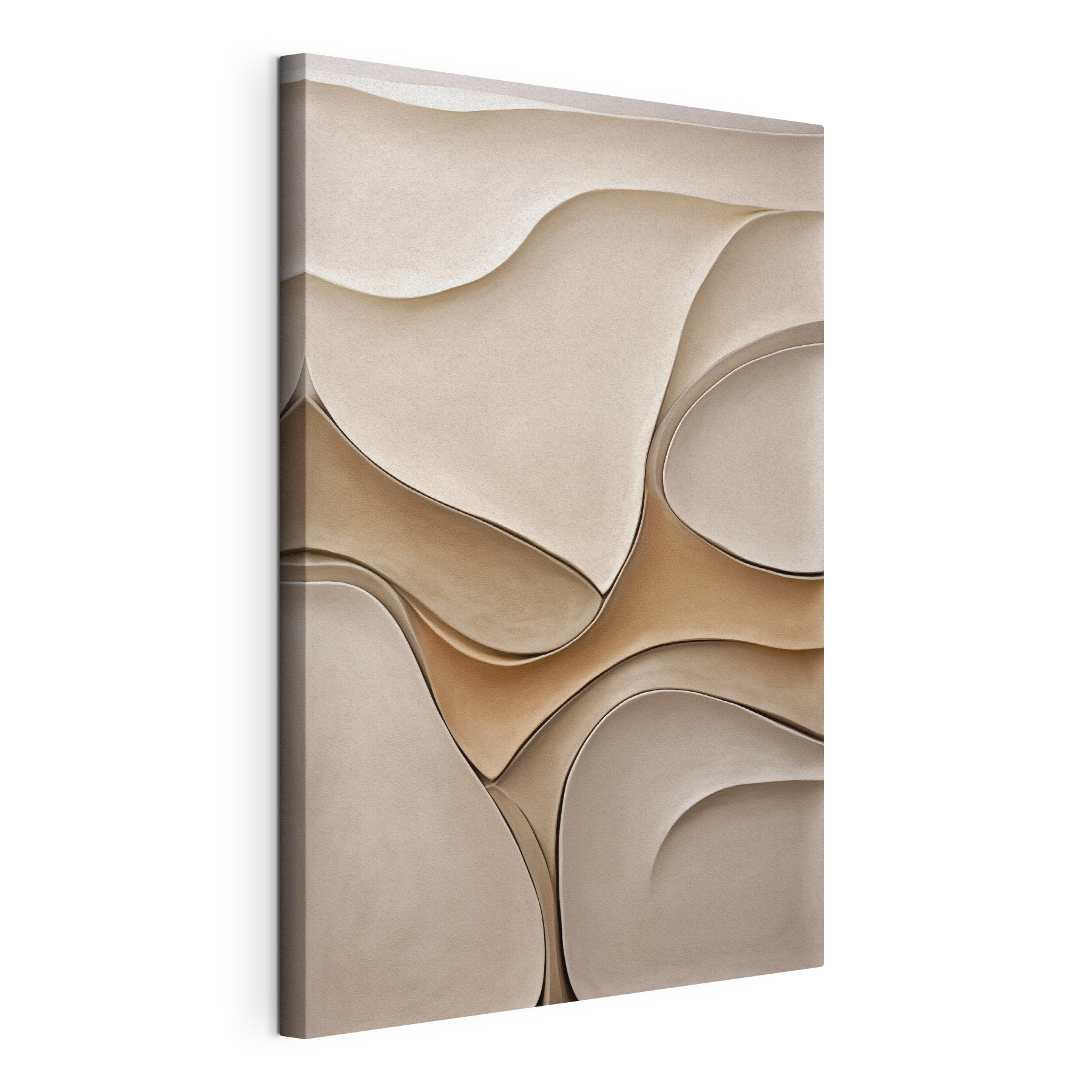 Gentle curves in soft tones