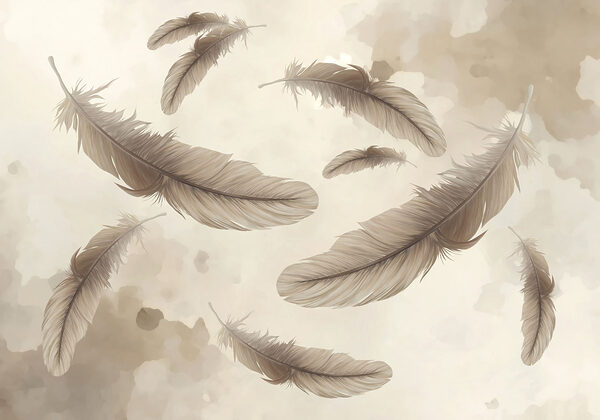 Group of feathers floating in the air Group of feathers floating in the air