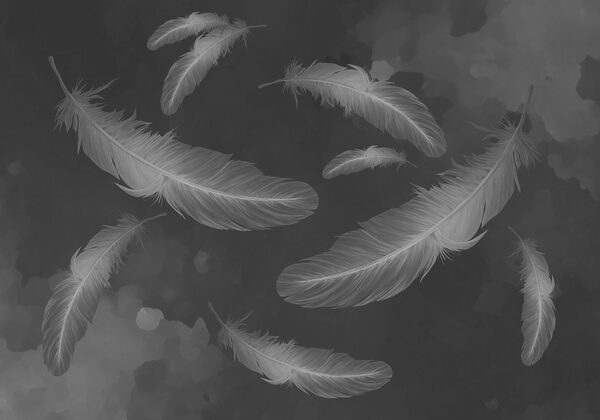 Group of feathers floating in the air