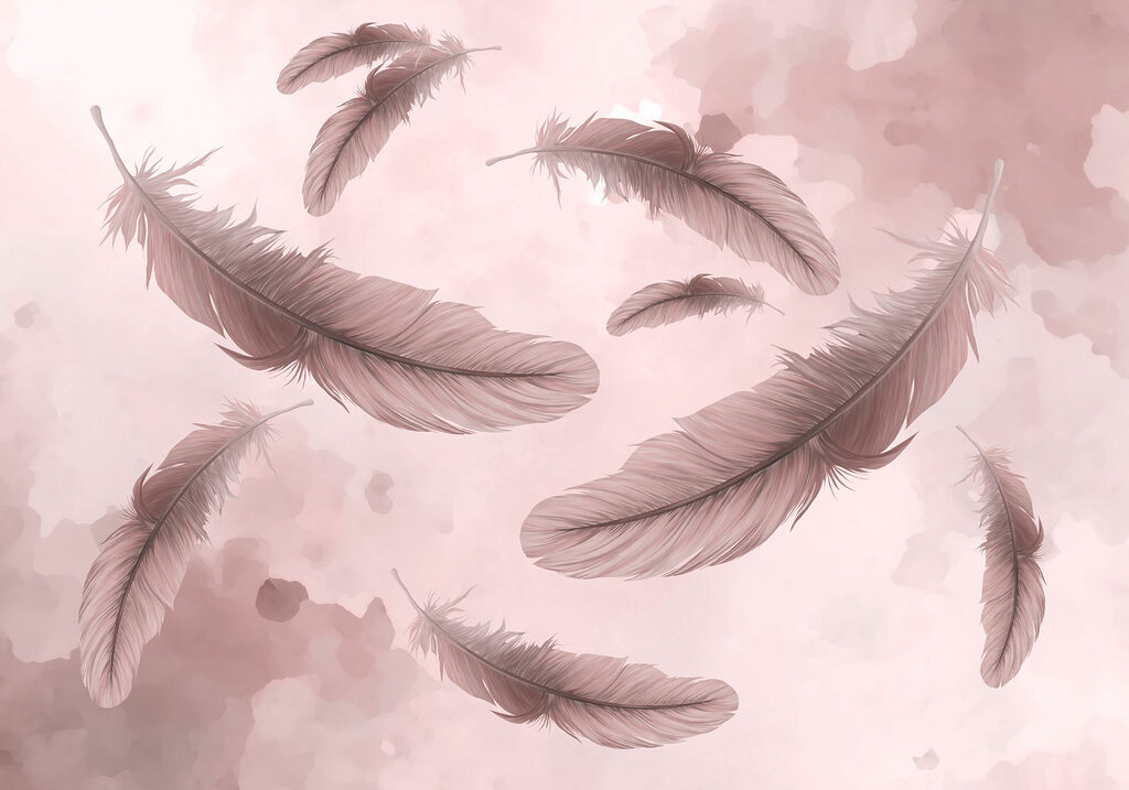 Group of feathers floating in the air Group of feathers floating in the air
