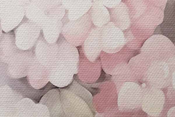 Painting of flowers on a white background
