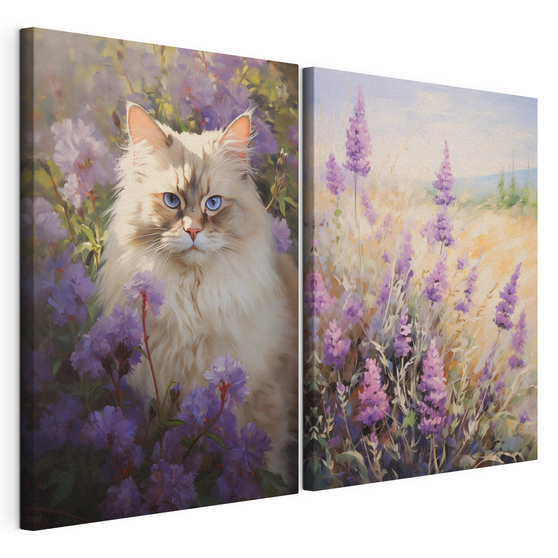 Cat in a field of flowers