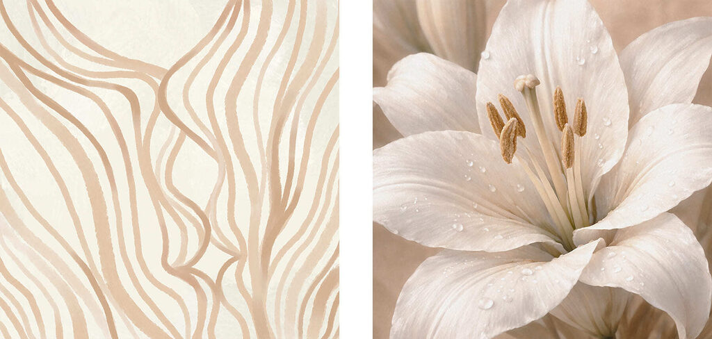 Smooth lines and elegant lilies