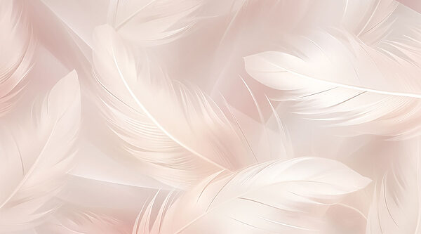 Gentle touches of soft elegance
