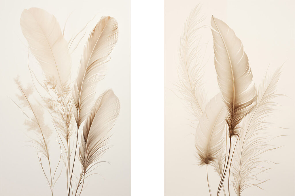 Delicate feathers softly arranged together