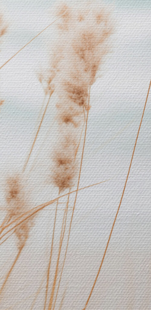 Gentle breeze over coastal grass