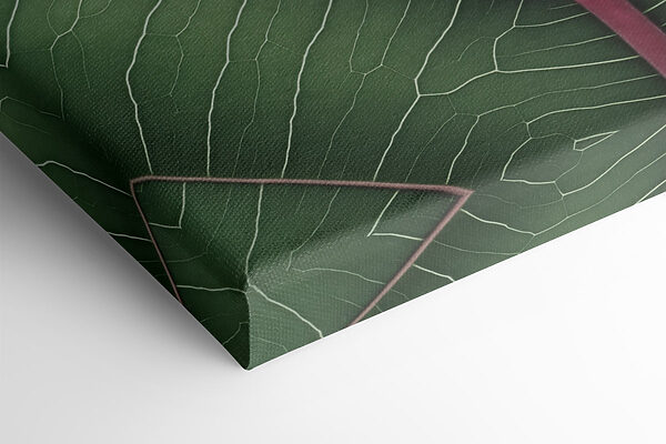 Vibrant leaves in contrasting colors