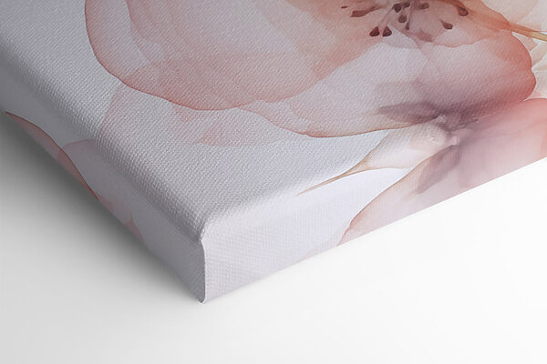 Soft petals in delicate harmony