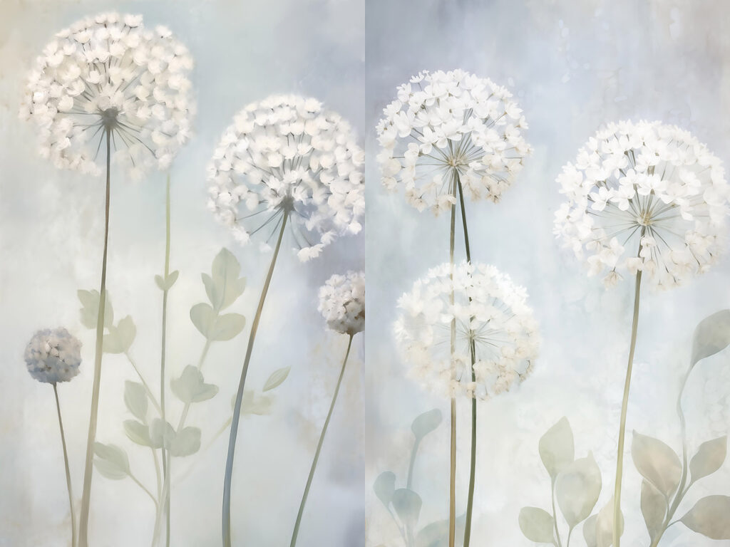 Collage of white flowers