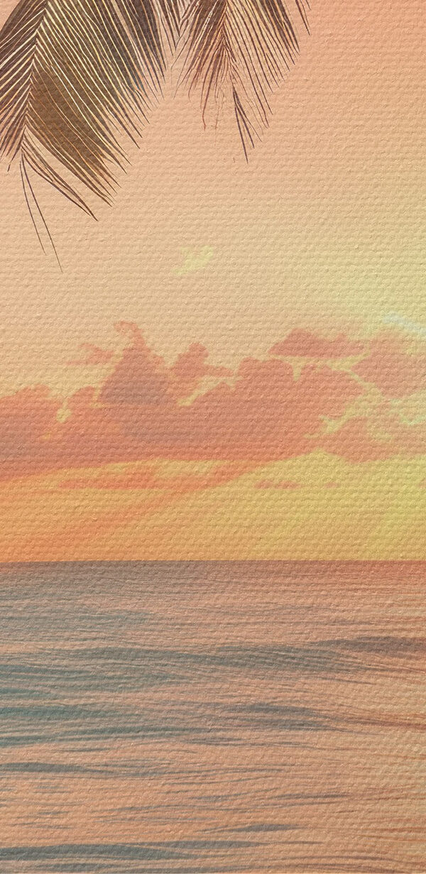 Palm tree on a beach